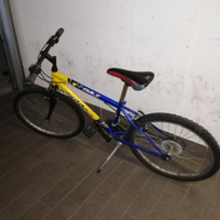 Bicicletta Mountain bike 24 usata