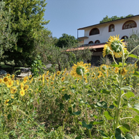 Azienda agricola con agriturismo