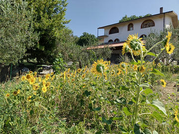 Azienda agricola con agriturismo