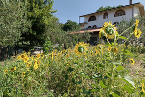 Azienda agricola con agriturismo