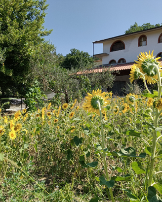 Azienda agricola con agriturismo