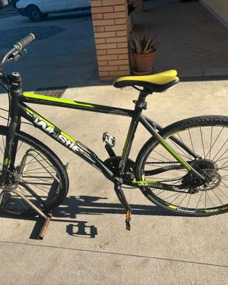 bicicletta