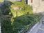 Immagine 7