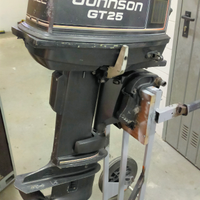 Johnson gt 25 cv