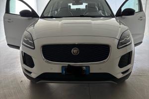 Jaguar e Pace 