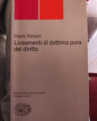 Lineamenti di dottrina pura del diritto