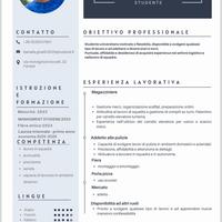 Porta pizza/magazziniere/adetto di pulizie/e altre