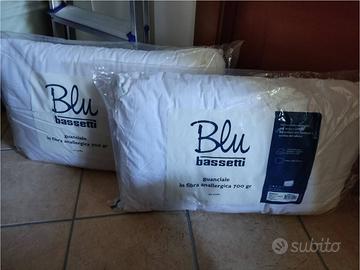 Coppia guanciali cuscini "Bassetti Blu"
