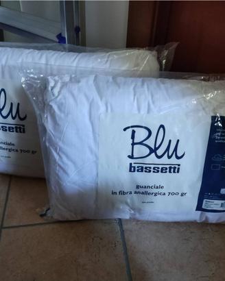 Coppia guanciali cuscini "Bassetti Blu"