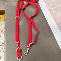 Guinzaglio addestramento 