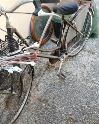 bicicletta donna