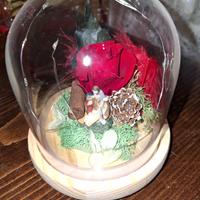 Campane di vetro con natività e rosa stabilizzata