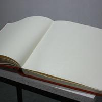 ALBUM FOTOGRAFICO DA MATRIMONIO