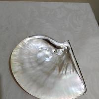Conchiglia di madreperla con argento!!