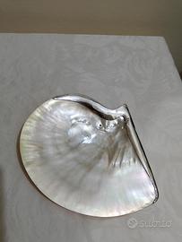 Conchiglia di madreperla con argento!!