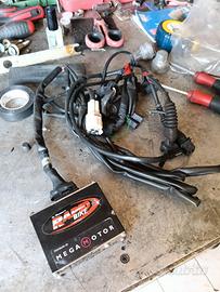 rapid bike per motori 1000 Ds ducati