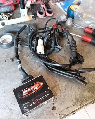 rapid bike per motori 1000 Ds ducati