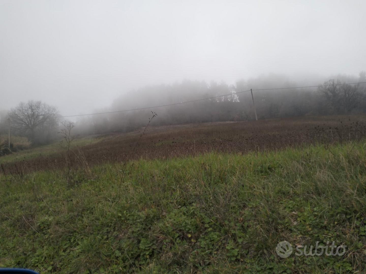 Terreno agricolo seminativo - Vista 4