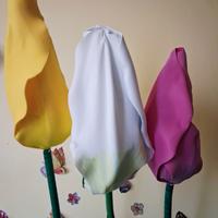 Oferta speciale fiori giganti