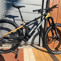 Mtb whistle enduro carbonio