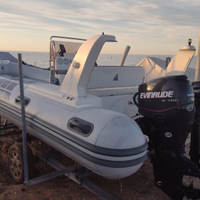 Motore 90 cv del 2005 Evinrude e tech