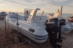 Motore 90 cv del 2005 Evinrude e tech