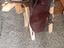 Immagine 1