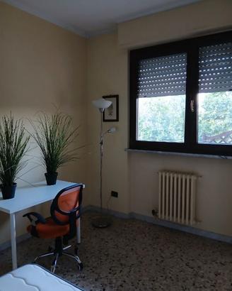 2 Sedie  girevoli per scrivania