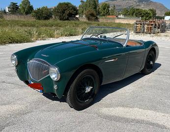 Austin-Healey 100 100/4 (BN1) - LE MANS KIT