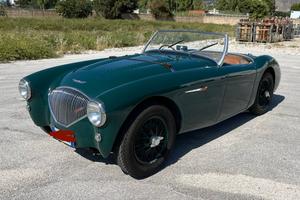 Austin-Healey 100 100/4 (BN1) - LE MANS KIT