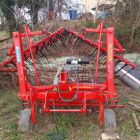 Erpice Strigliatore Einbock