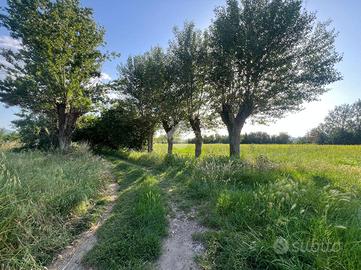 TER. AGRICOLO A CAPANNORI