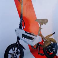 Bicicletta elettrica