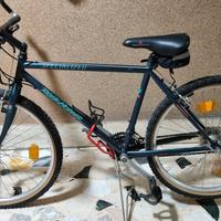 mountain bike roch hopper specialized anni'90