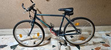 mountain bike roch hopper specialized anni'90