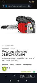 motosega a miscela lama Oregon tipo carving