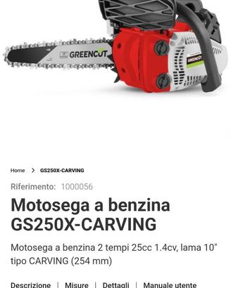 motosega a miscela lama Oregon tipo carving