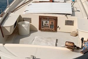 Gozzo in vetroresina