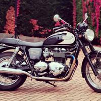 Triumph Bonneville - 2011