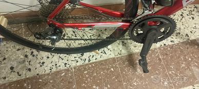 Bici da corsa Bottechi