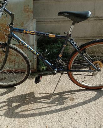 MTB  bicicletta 