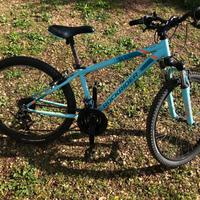 Bicicletta da bambino