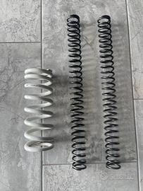 Molle ktm exc 300 six days 2021