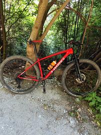 specialized sworks
