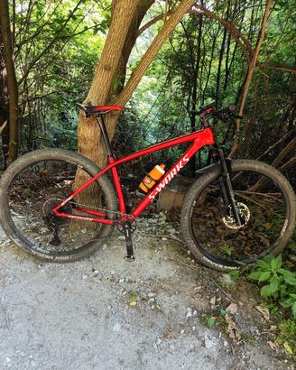 specialized sworks