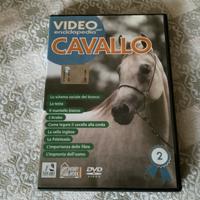dvd Video enciclopedia Cavallo