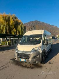 Vedessi citroen jumper maxi