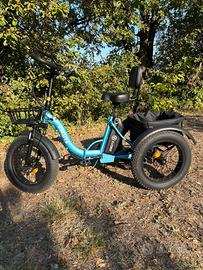ESKUTE T302 Pro Triciclo Elettrico Cargo