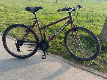 Bici mtb