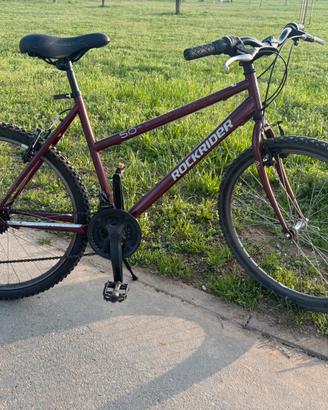 Bici mtb
